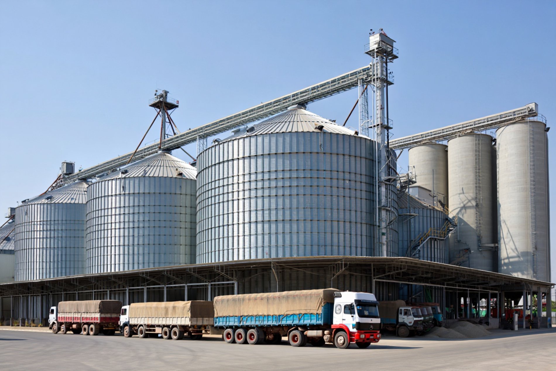 Nuestro ERP al servicio de Cooperativas Agrícolas Ganaderas